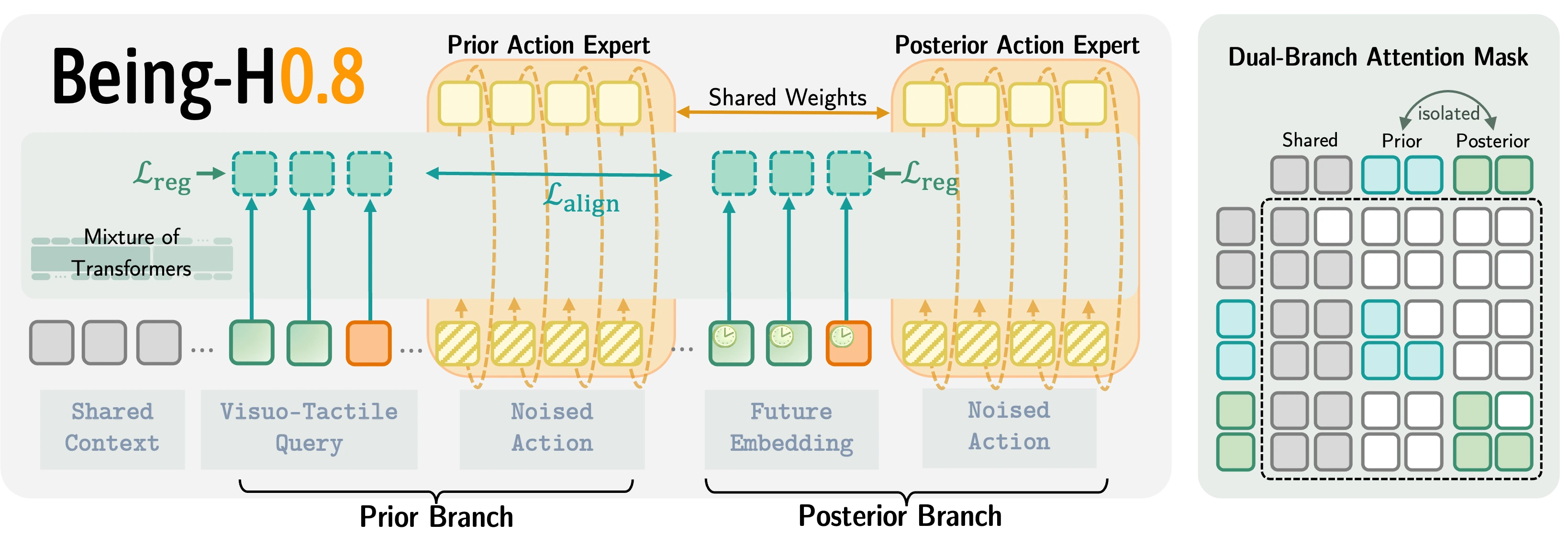 Being-H0.8 prior-posterior tactile world-action model pipeline