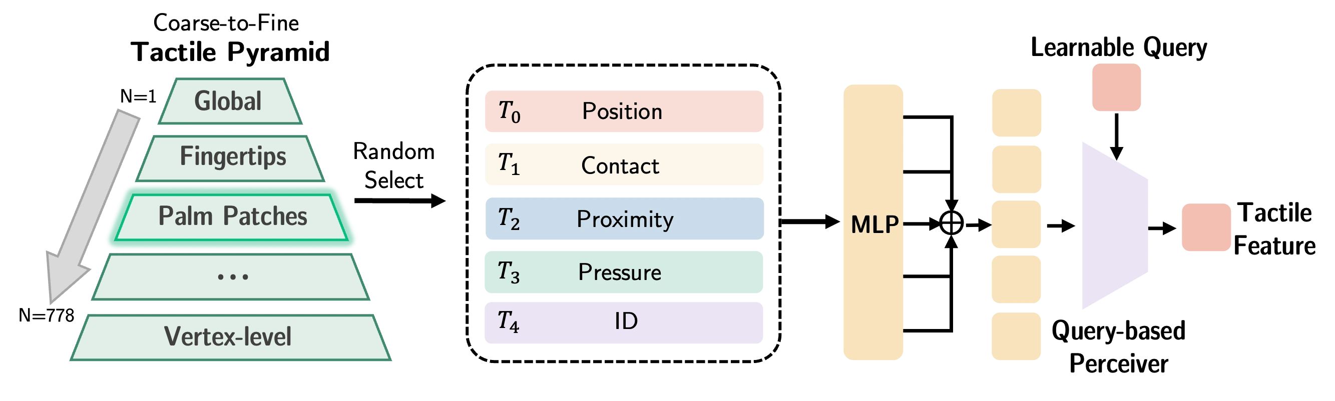 Universal tactile encoder from multi-granularity hand signals to fixed tactile tokens