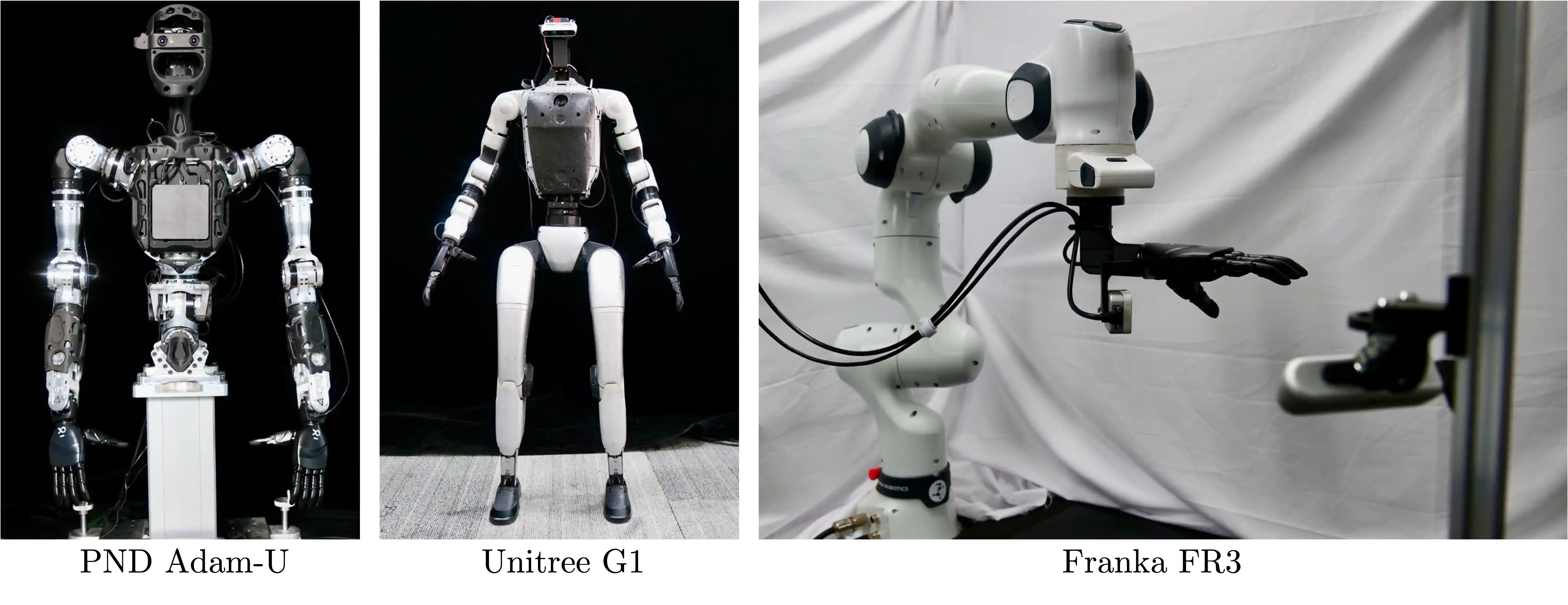 Real-world embodiments