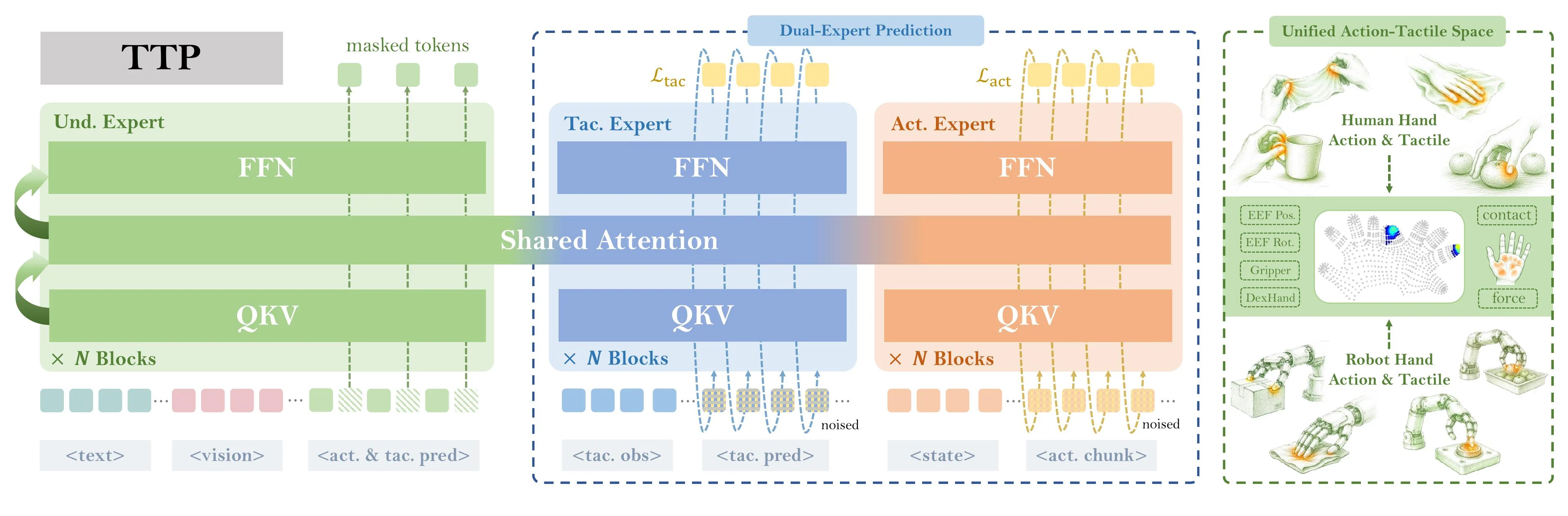 TTP training architecture